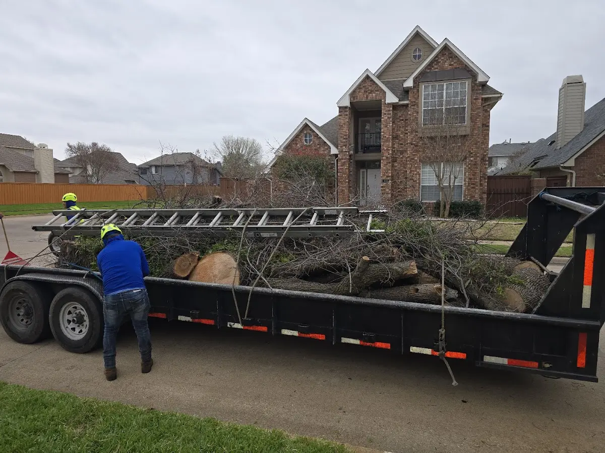 Expert Lot Clearing with proper safety equipment in Poplar